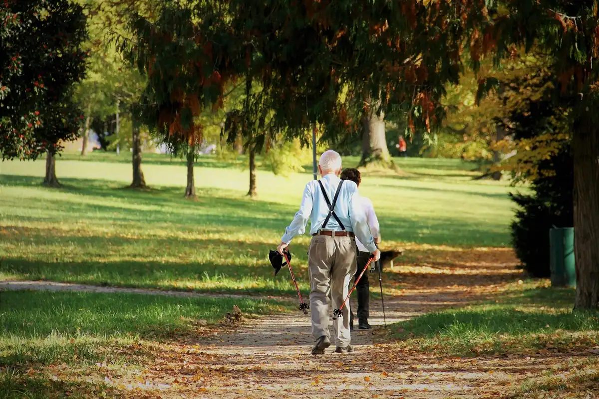 Vârstnic se plimbă pe o alee din parc, printre copaci cu frunze toamnale